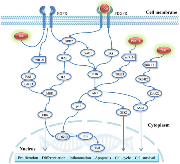 fig5