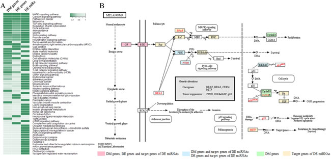 fig2
