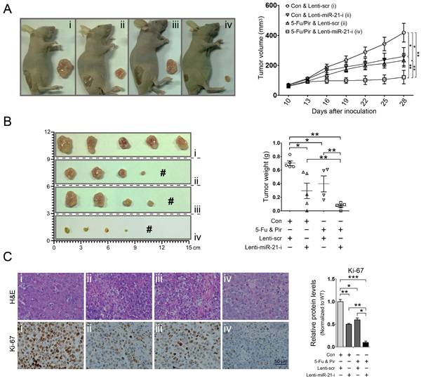 fig2