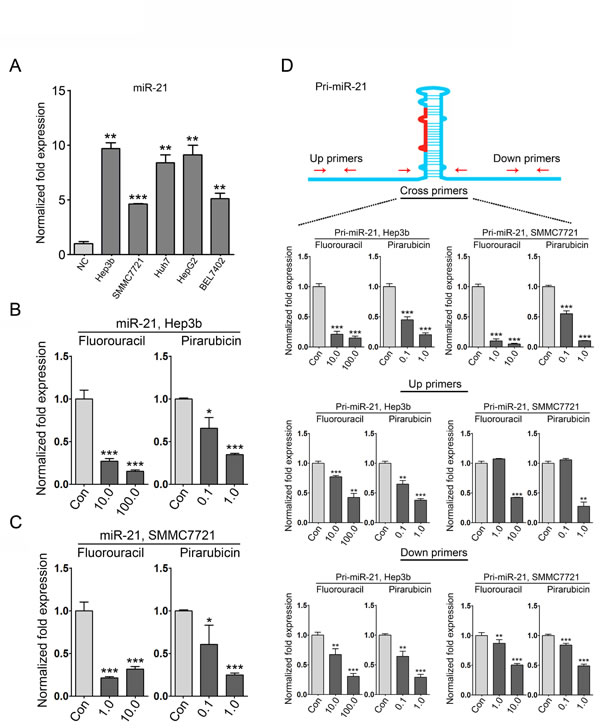 fig3