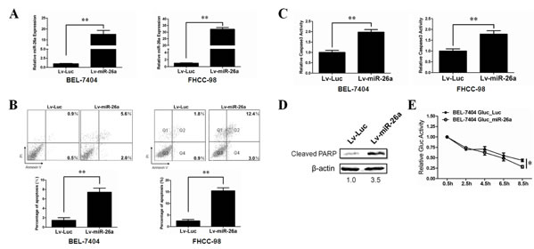 fig2