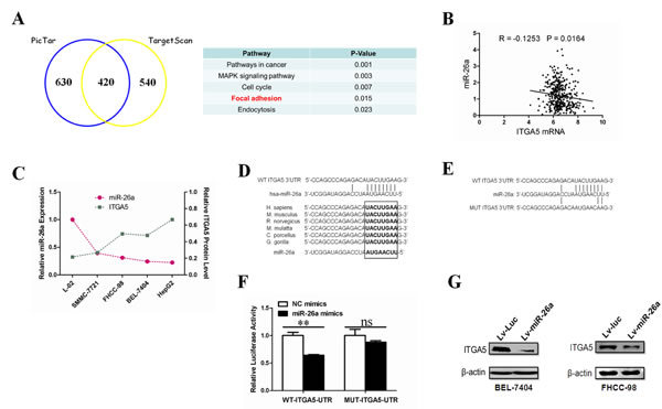 fig3