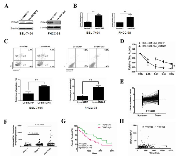 fig4