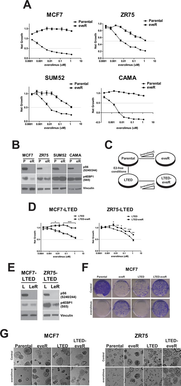 fig1