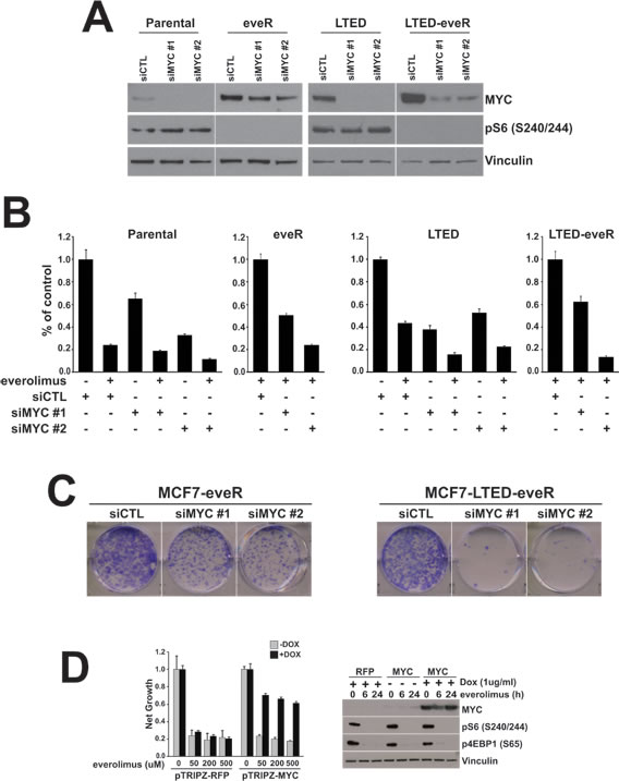 fig3