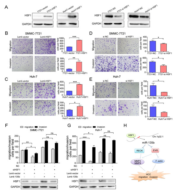 fig6