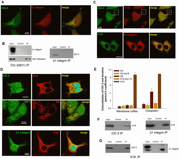 fig6