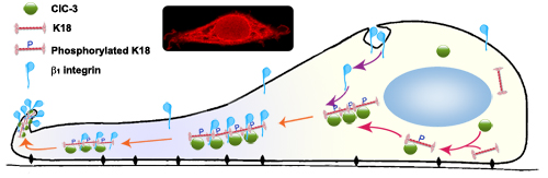 fig8