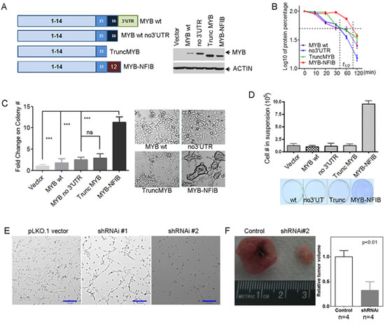 fig6