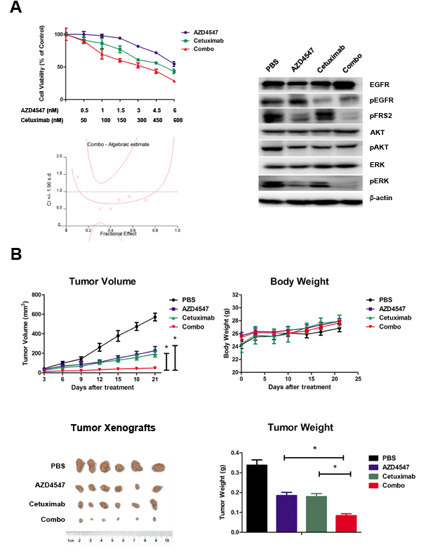 fig3