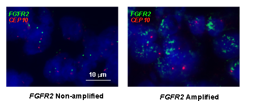 fig6