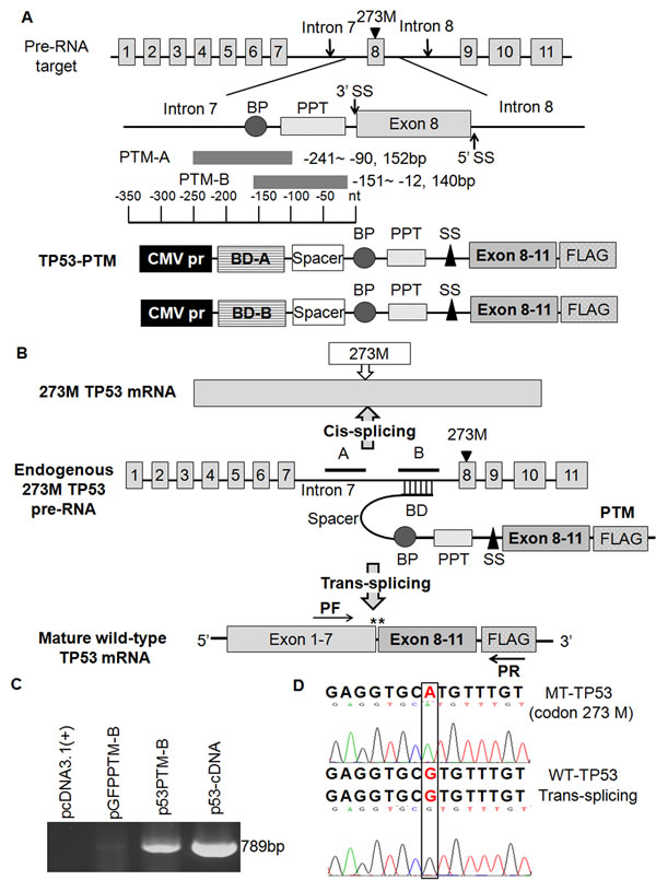 fig1