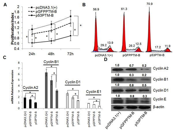 fig2