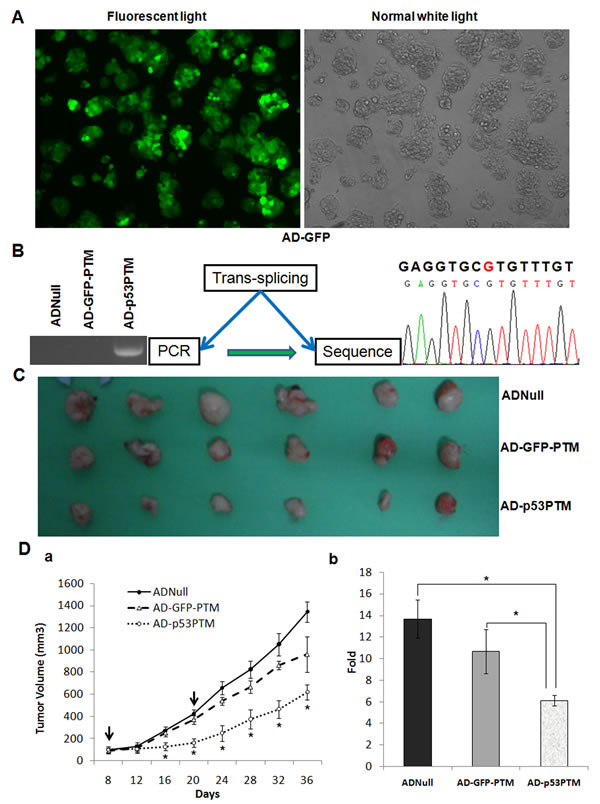fig4