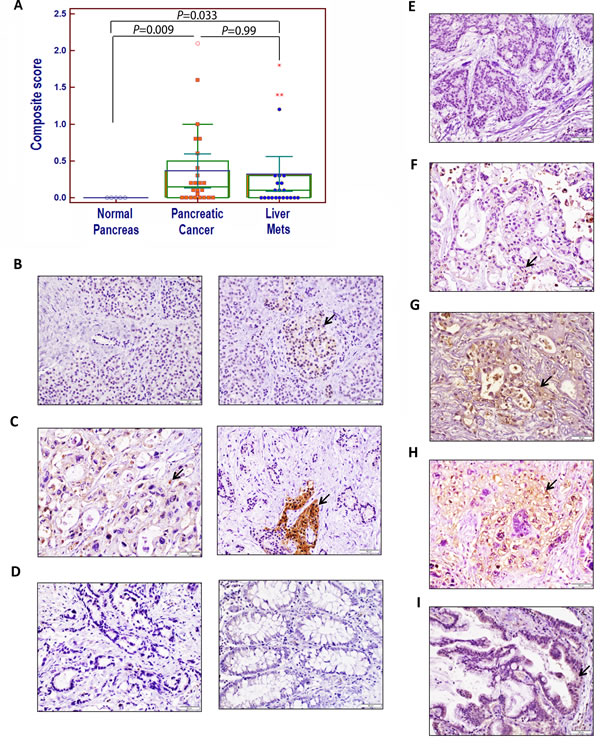 fig2