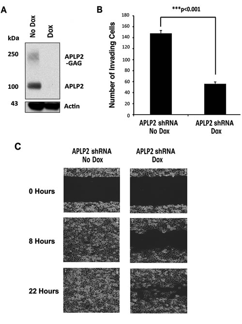 fig3