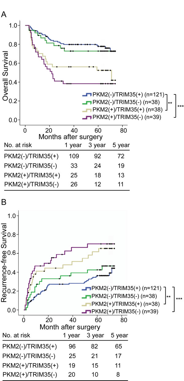 fig3
