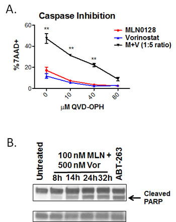 fig4
