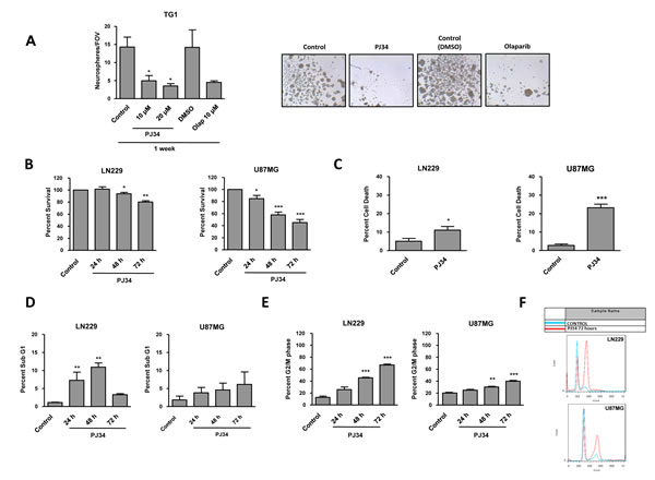 fig1