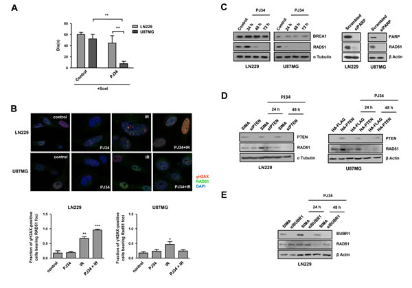 fig3