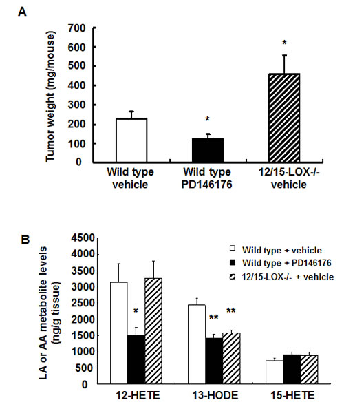 fig1