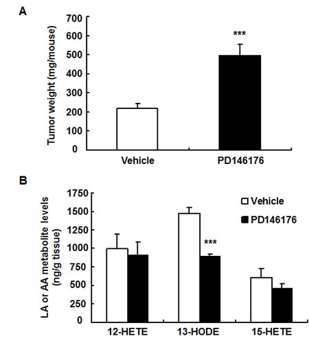 fig2