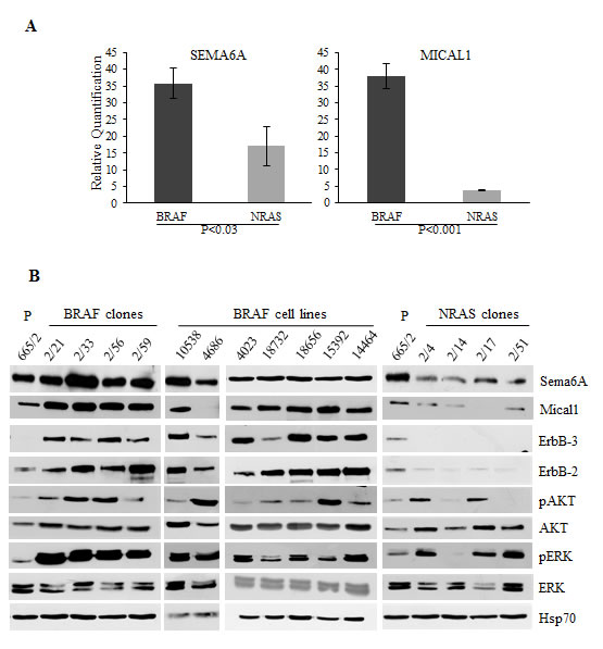 fig1