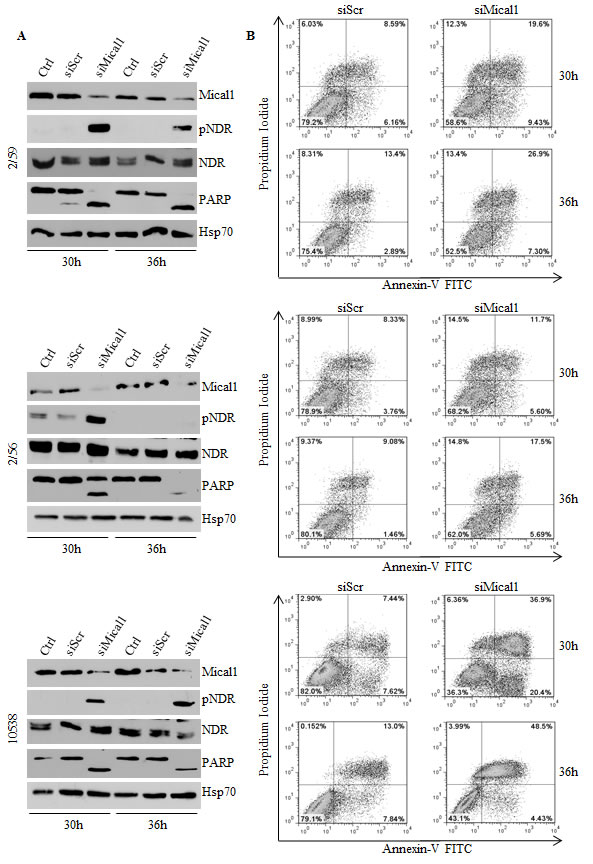 fig6