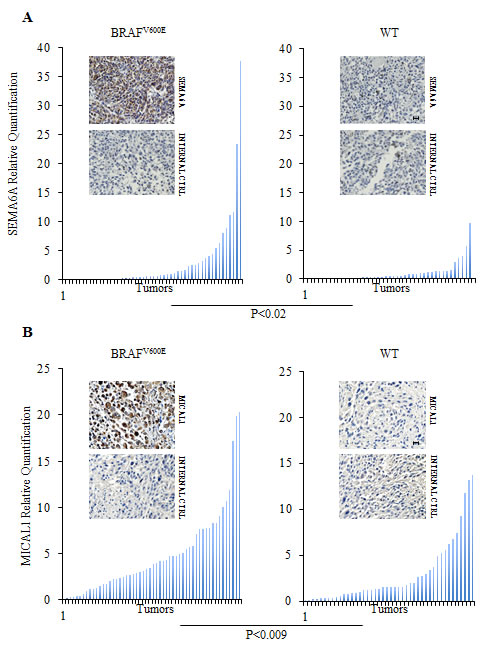 fig2