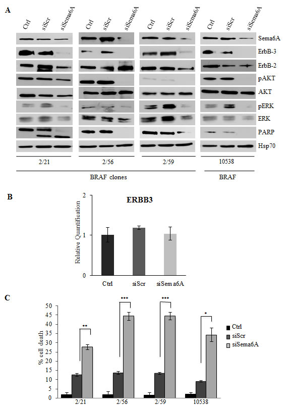 fig3