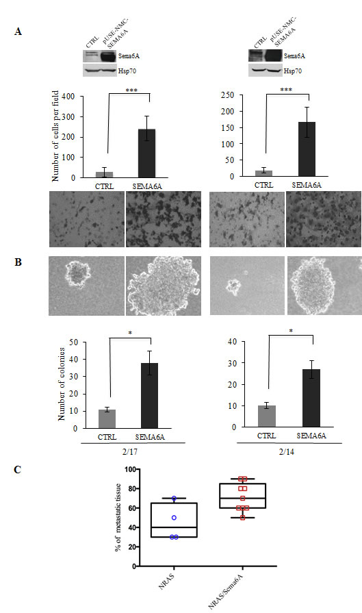 fig5