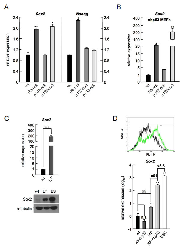 fig1