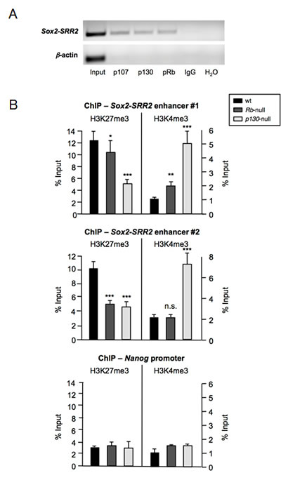 fig2