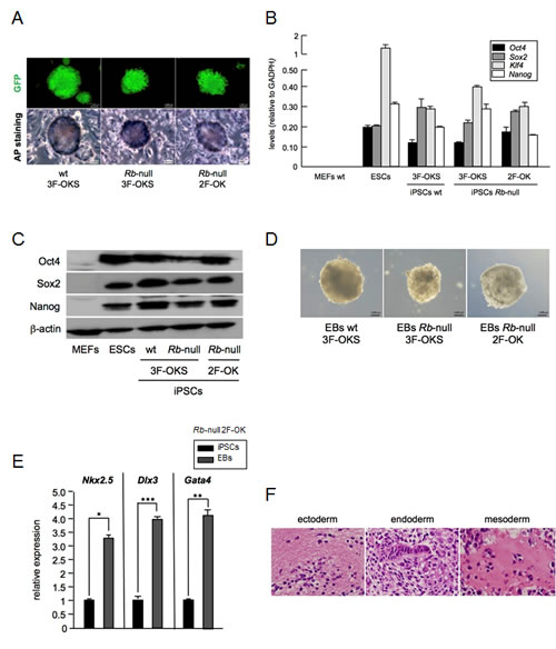 fig3