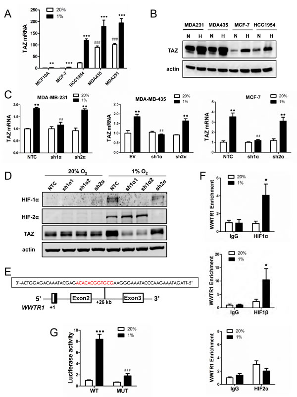 fig1