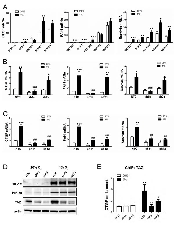 fig2