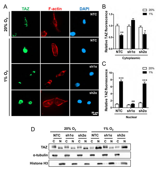fig3