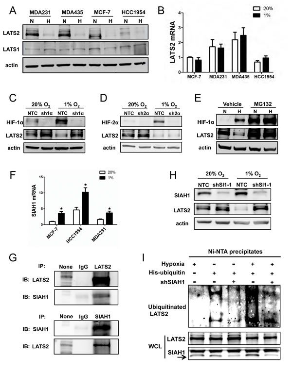 fig4
