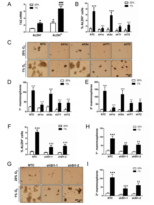 fig6