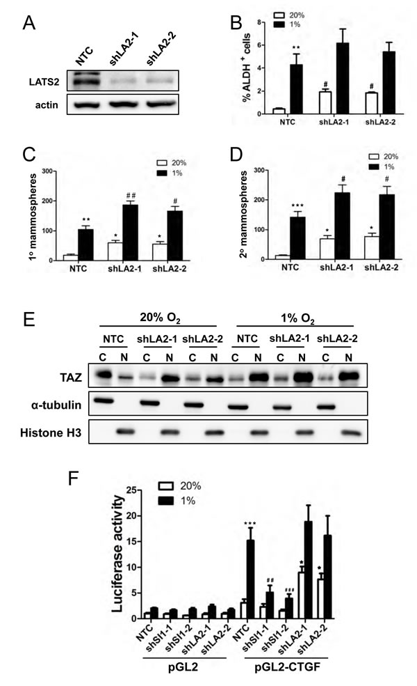 fig7