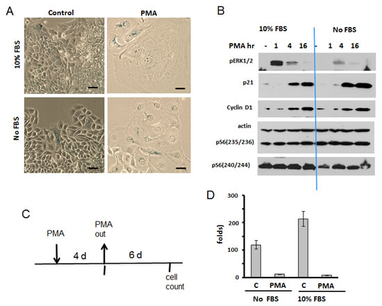 fig1
