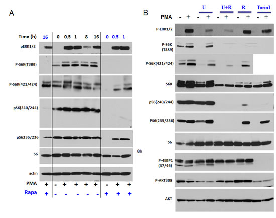 fig3
