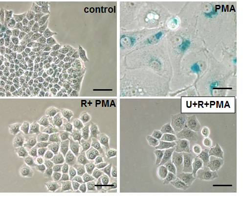 fig5