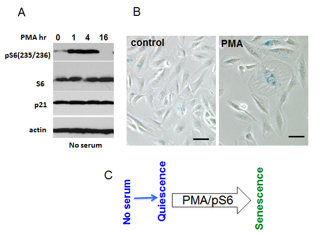 fig8