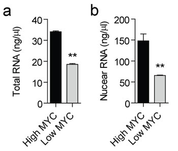 FIG2