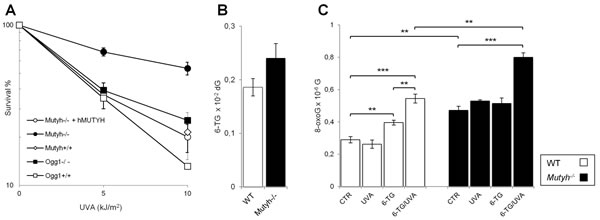 fig1