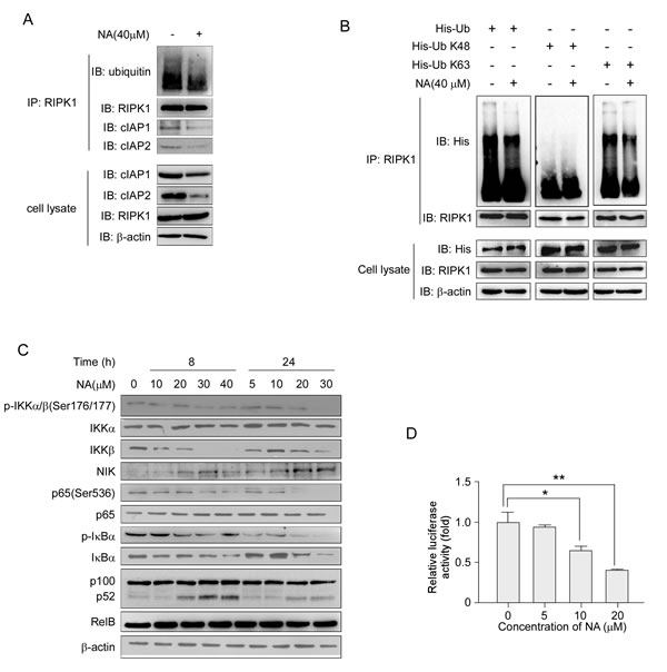 fig3