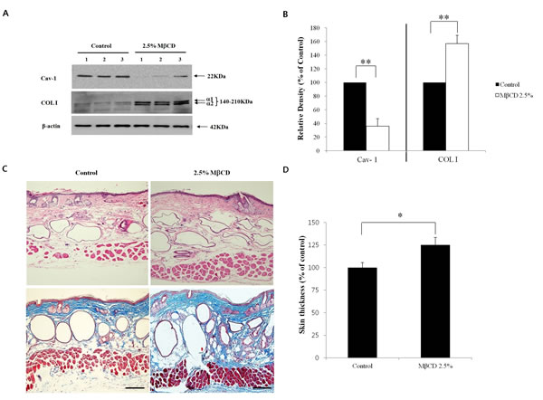 fig4