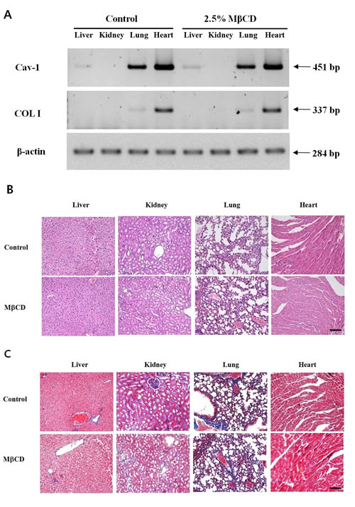 fig5