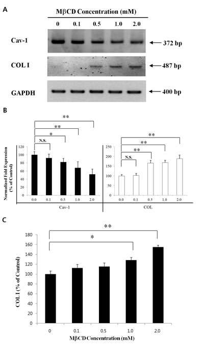 fig6